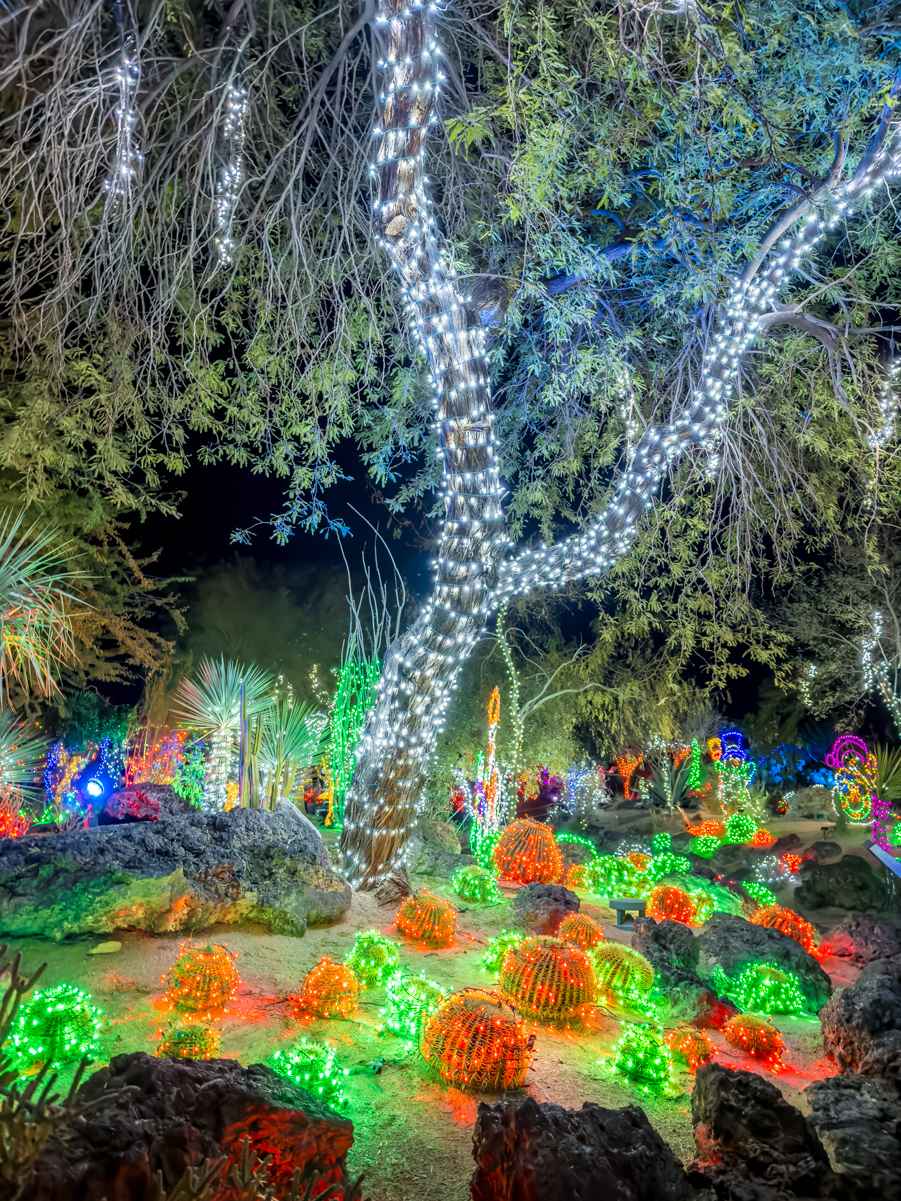Ethel M Christmas Lights: A Must-See Attraction (Photo Gallery) 2022 5 Christmas Cactus at Ethel M Chocolate Factory Las Vegas