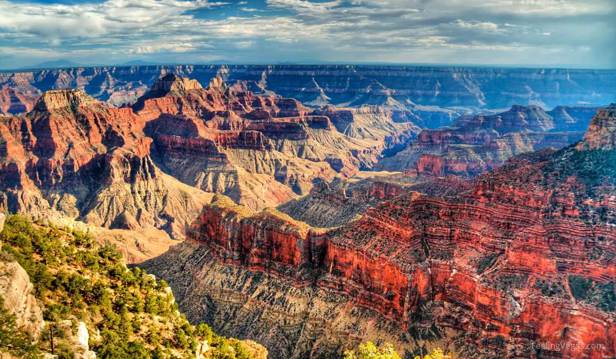 Las Vegas has a multitude of stunning  natural and scenic spots nearby, including the Grand Canyon