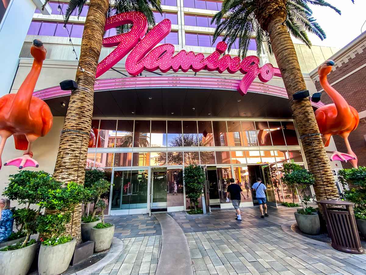 You can find cheap rooms at the Flamingo Las Vegas