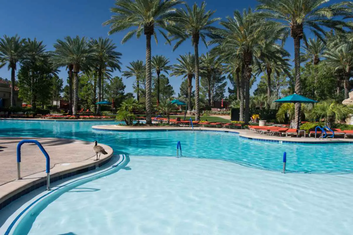 It Might Be Too Frigid To Swim in Las Vegas in March  