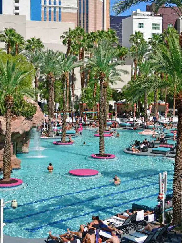 5 Reasons Why Pools in Las Vegas Are So Cold Story FeelingVegas