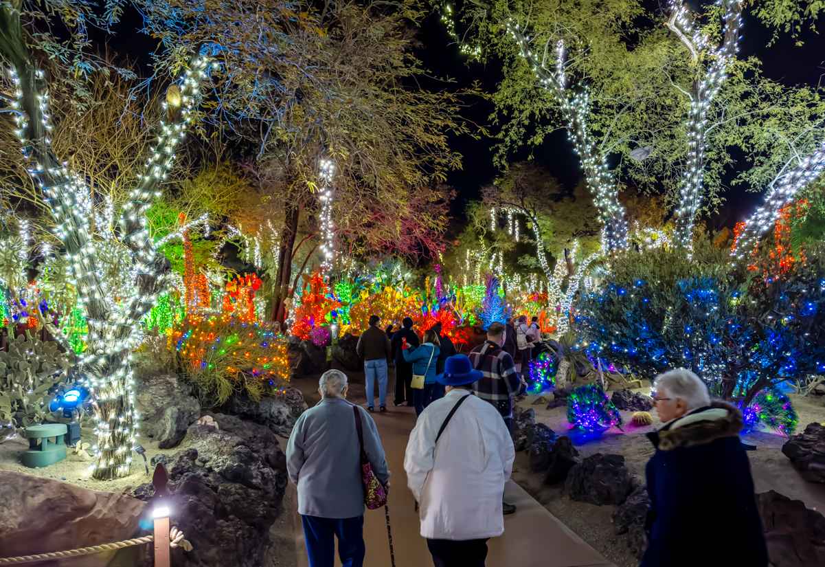 Visitors walk through Ethel M Christmas lights at night
