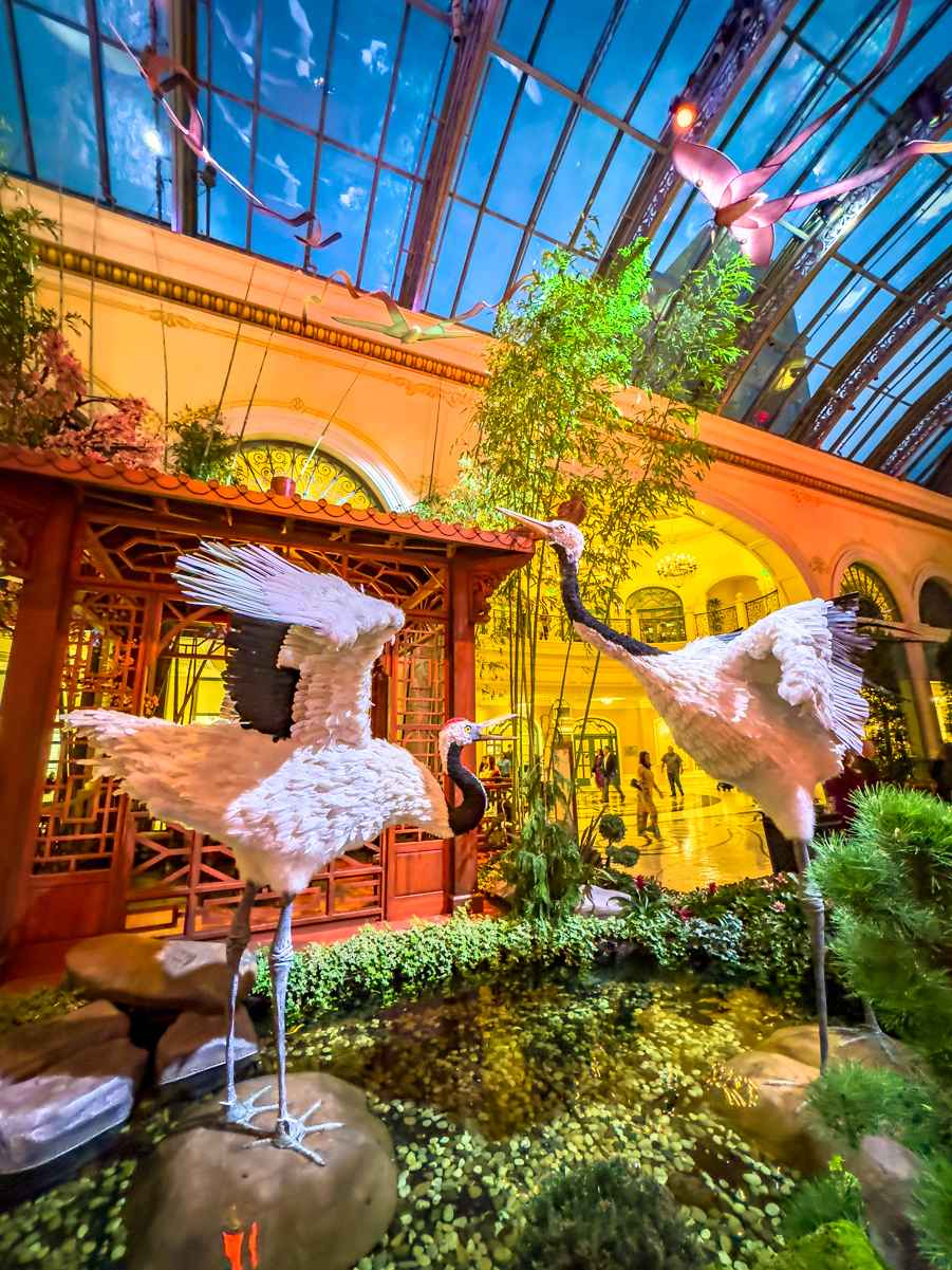 Two cranes in front of tea house at Bellagio Conservatory 2023 Lunar New Year celebration