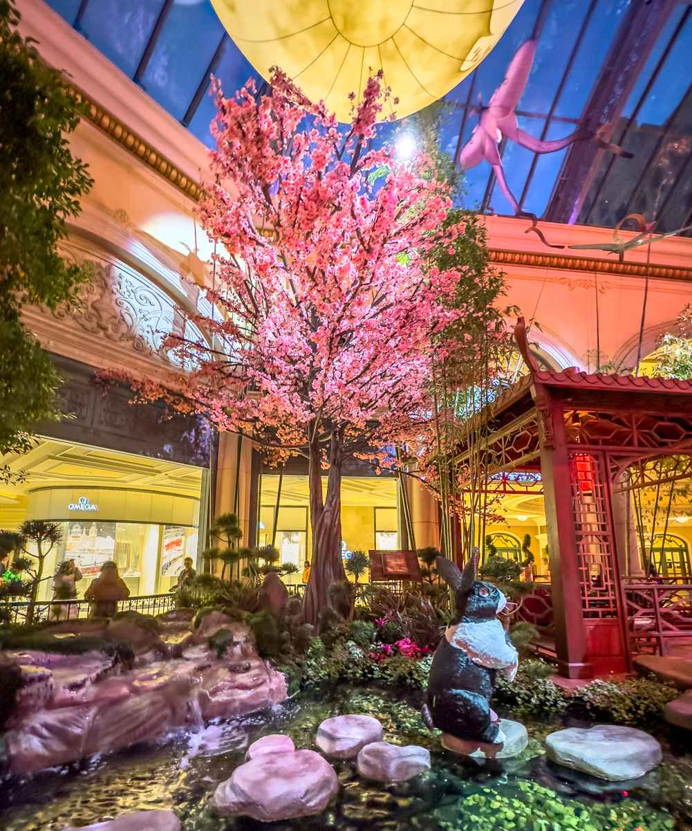 Blossoming cherry tree at the Bellagio Conservatory 2023 Lunar New Year display