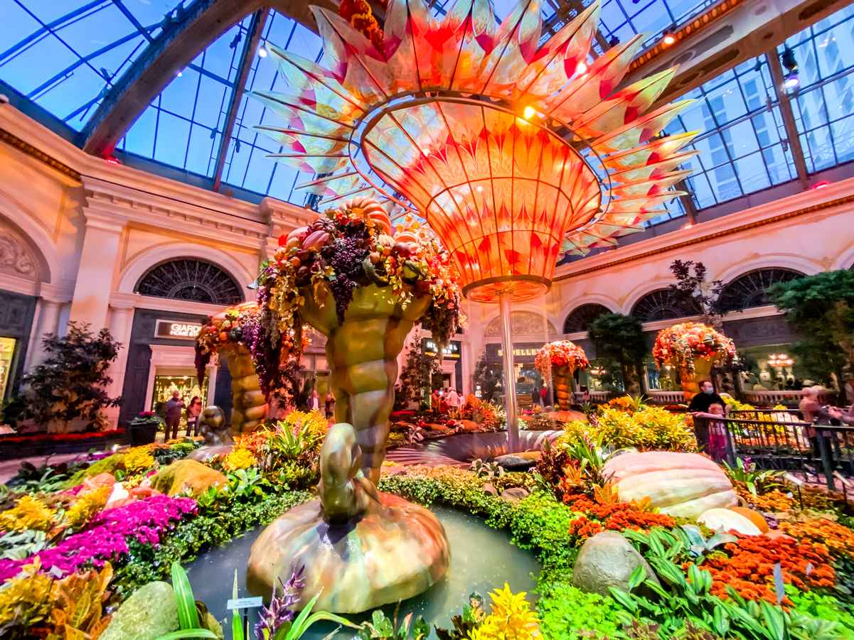 Best Time For Photos at The Bellagio Garden