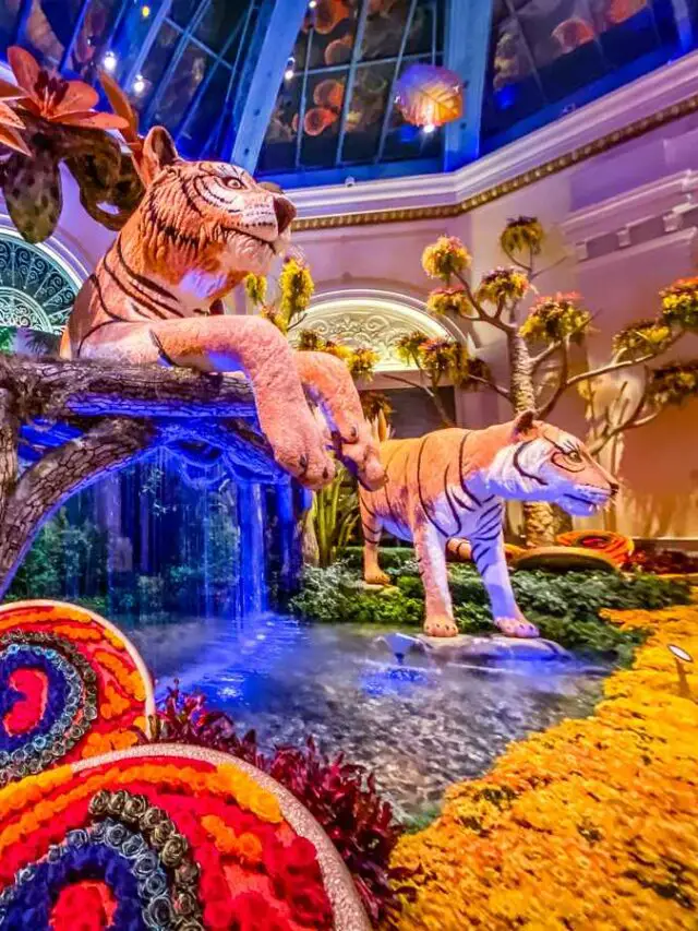 Bellagio Conservatory And Botanical Gardens 2023 Schedule Story bellagio-conservatory-and-botanical-gardens-2023-schedule-story