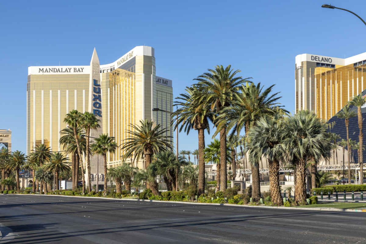 How to get to Nb Las Vegas at Luxor / Mandalay Bay in Paradise by Bus?