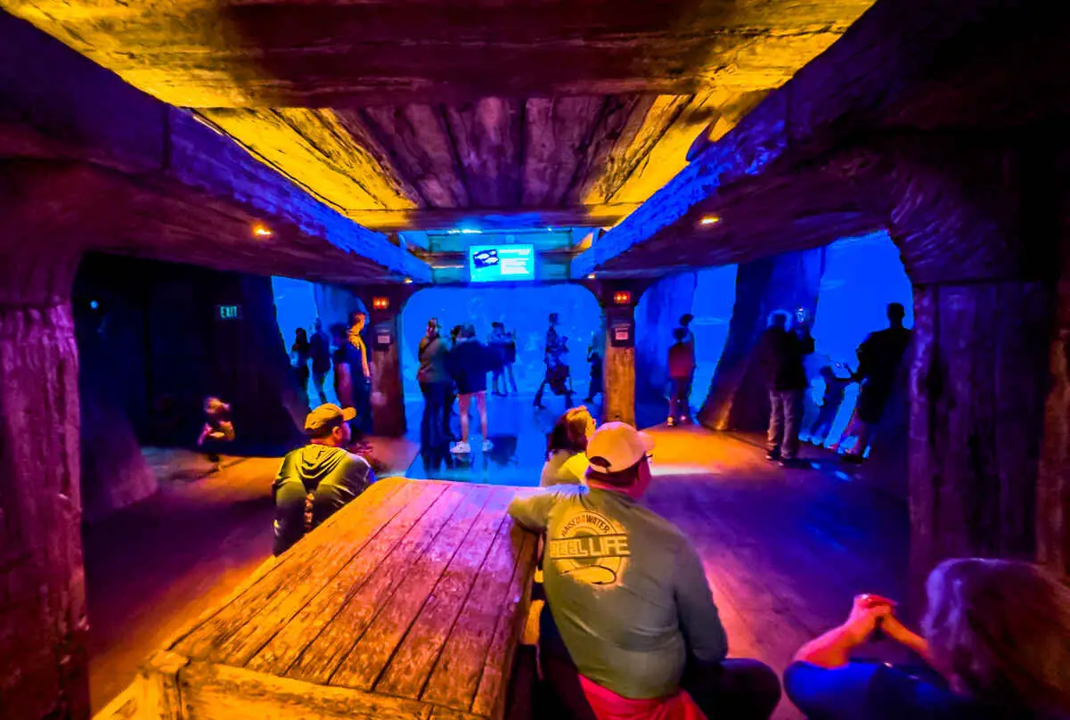 Inside the sunken ship at Shark Reef Las Vegas