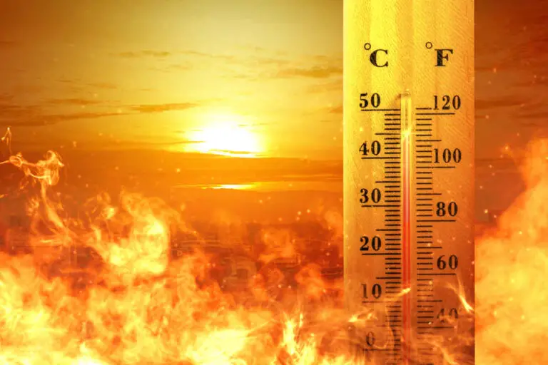 Is Las Vegas Humid or Dry Heat? (Vegas Humidity Explained)