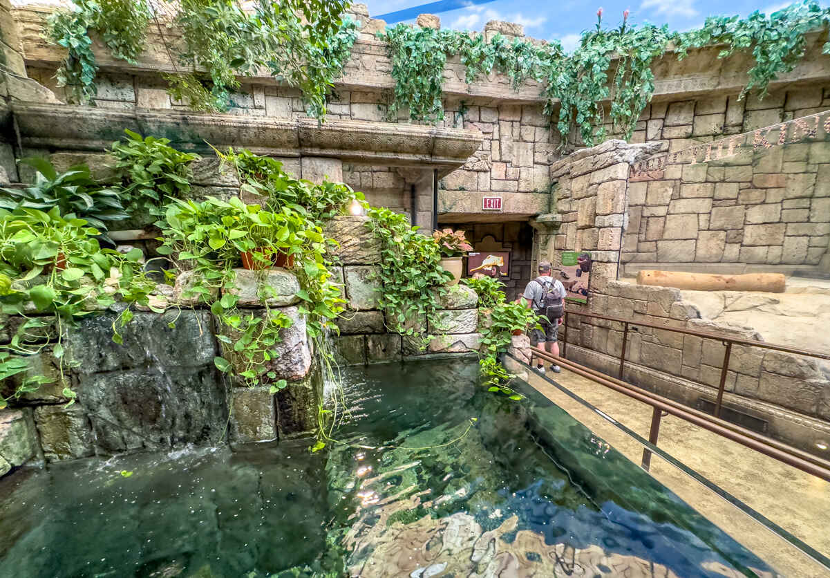 Is Mandalay Bay Aquarium Worth It? PHOTOS! (Shark Reef Aquarium) 5 What To Expect During Your Visit To Mandalay Bay Aquarium