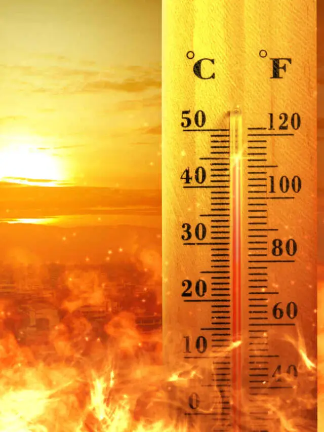 Is Las Vegas Humid or Dry Heat Story FeelingVegas