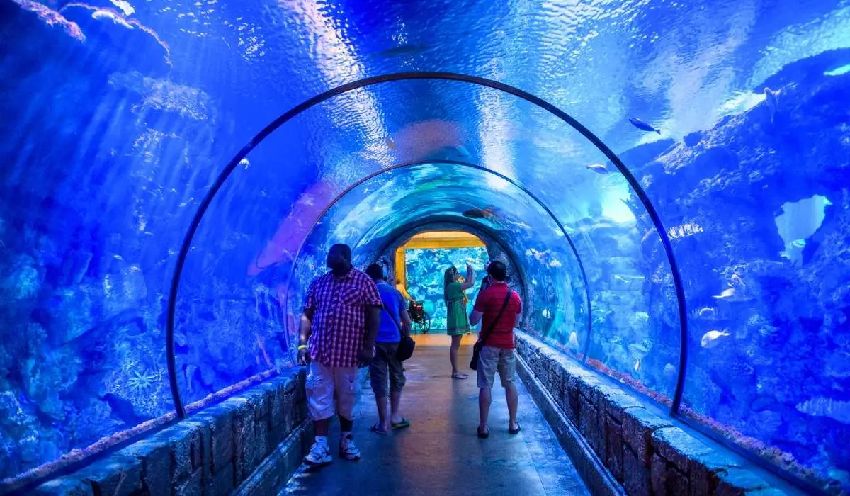 is the aquarium free if you stay at mandalay bay